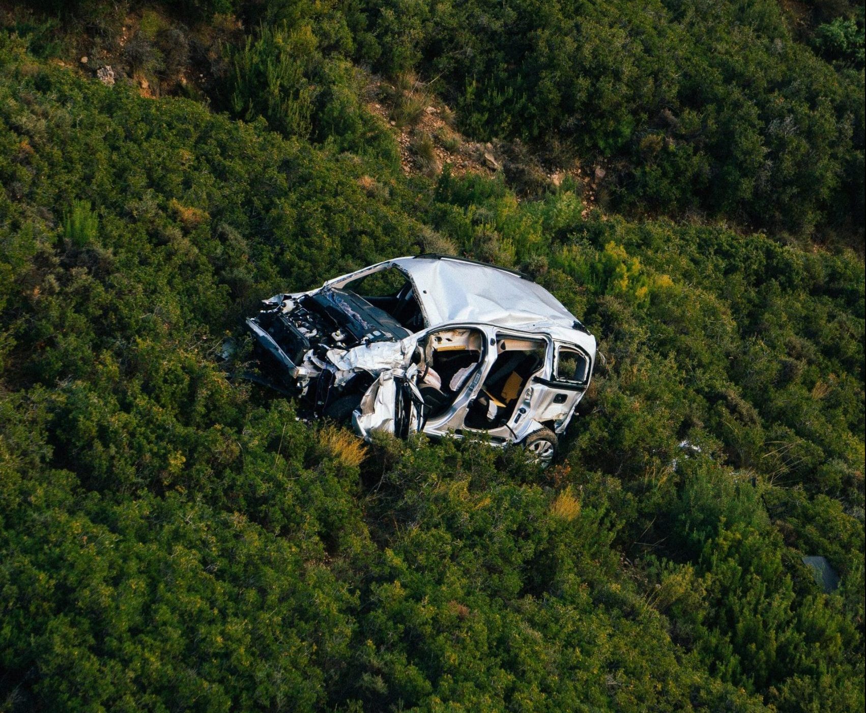 car crash in bushes