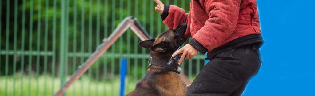 dog attacking a person having gun