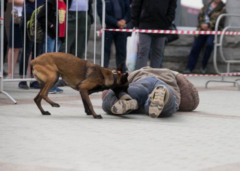 individual being attacked by a dog